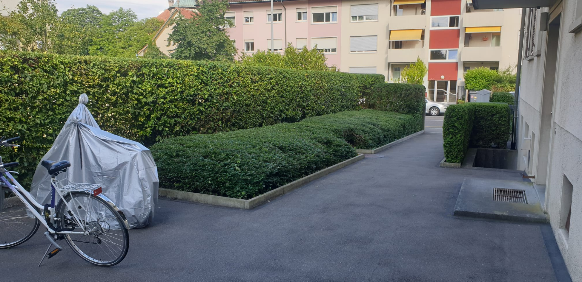 Gepflegte Umgebungsarbeiten an einer Liegenschaft in Brugg