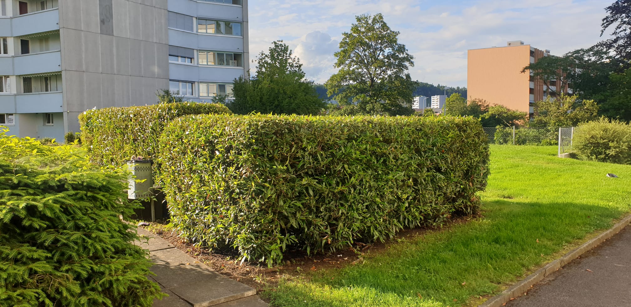 Gepflegte Grünanlage einer von ReVe betreuten Liegenschaft